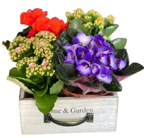 Home$Garden