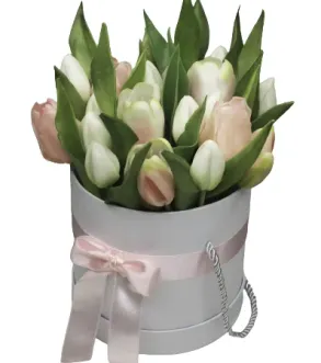 Box tulipanów
