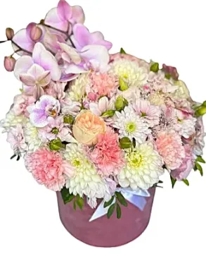Flower box PREMIUM  Orchidea