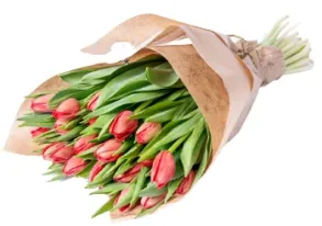 Czas Tulipanów